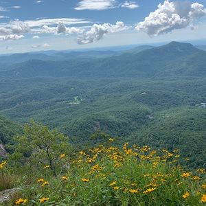 Meet your Posher, Honey